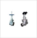 Gate Valve