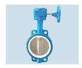 Lined Viton Butterfly Valve