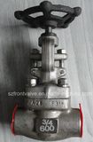 Forged Stainless Steel Screwed or Sw Globe Valve