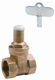 Brass Lockup Gate Valve