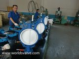 PTFE Coated Butterfly Valve