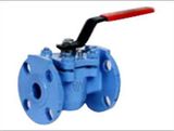 Plug Valve