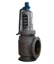 Steam Safety Valve