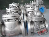 Stainless Steel Flanged Swing Check Valve