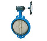 Butterfly Valve