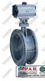 Aeration Butterfly Valve (LPB17)