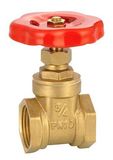 Forged Brass Gate Valve (KX-GV001)