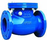 Swing Check Valve