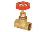 Filter Valve (GRS-G051)