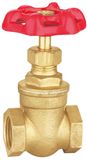 Water Media and Manual Power Brass Water Meter Gate Valve