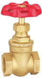 Water Media and Manual Power Brass Water Meter Gate Valve