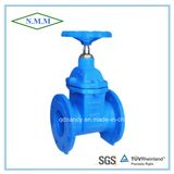 BS5163 Cast Iron Rubber Wedge Non-Rising Stem Gate Valve