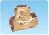 Check Valve