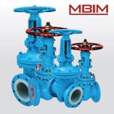 Gate Valve