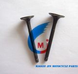 Motorcycle Parts Motorcycle Valve Bajaj 100