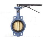 Butterfly Valve