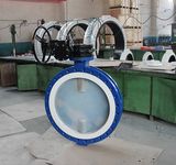 PFA Coated U Type Butterfly Valve