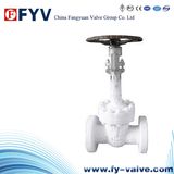 Manual ANSI Cast Steel Cryogenic Gate Valve