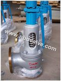 Steam Boiler Pressure Relief Valve (A48Y)