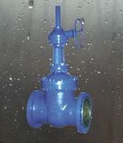 High Temperature High Pressure Gate Valve