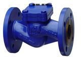 Manual Swing Type Flange Check Valve