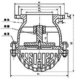 Foot Valve