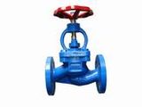 Globe Valve