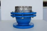 Ductile / Cast Iron Foot Valve