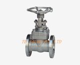 Forged Stainless Steel Flange Globe Valve