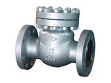 Swing Check Valve