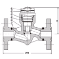 Flanged End Pressure Seal Piston Check Valve (LIFC3011)