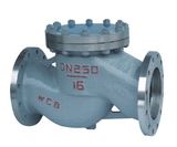 Lift Check Valve