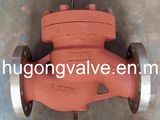 Check Valve