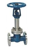 Cryogenic Gate Valves (Z41H)