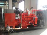 Biogas Generator/CHP/Biomass Power Generator/Natural Gas Genset/LPG Generator