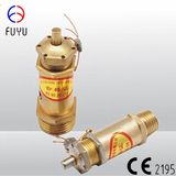 Brass Safety Valve for Compressor