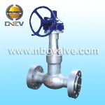 Power Station High Pressure Seal Globe Valve (J541Y)