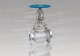 Globe Valve (1/2