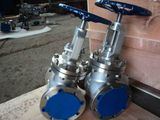 Globe Valve