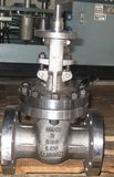 Gate Valve