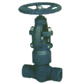 Forged Pressure Seal Globe Valve (LIFC5005)