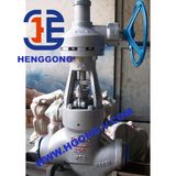 DIN Bw Power Station Pressure Seal Globe Valve