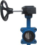 Lug Butterfly Valve Splined with Worm Gear