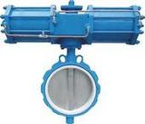 Pneumatic Butterfly Valve