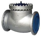 Check Valves