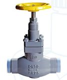 Cast Steel Globe Valve with CE Certification (L7G20-L7G200)