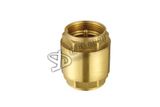 Spring Check Valve (YD-7001)