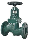 Globe Valve