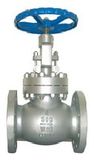 ANSI Globe Valve