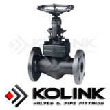 Flanged Globe Valve (Forged Steel)